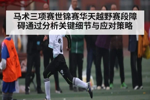 马术三项赛世锦赛华天越野赛段障碍通过分析关键细节与应对策略